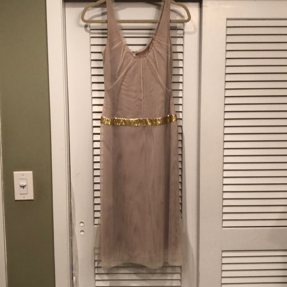 Vera Wang champagne colored tulle cocktail dress